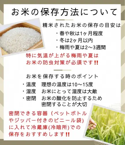 【12回定期便】コシヒカリ・きぬひかり 10kg 定期便 精米 白米