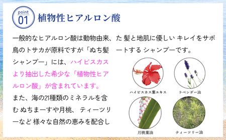 塩とハイビスカスのシャンプー「ぬち髪」×1本　ハイビスカス　ノンシリコン　ノンシリコンシャンプー　シャンプー　ぬちまーす　ヒアルロン酸　植物性ヒアルロン酸　うるおい　潤い　ハリ　コシ　塩　パラベンフリー　月桃　艶　ティーツリー