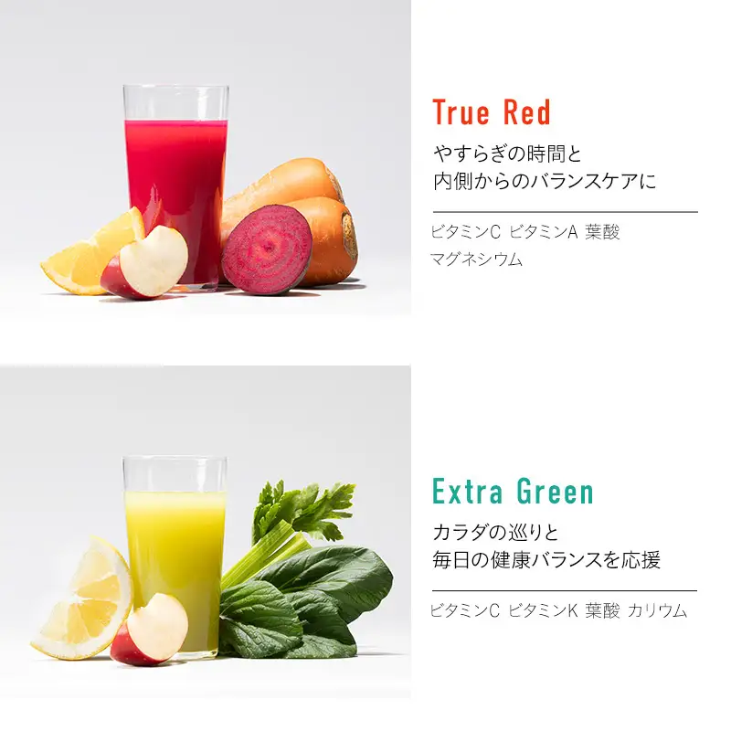 フルーツ専門店がつくる Viccaプレミアムフルーツ ダブルプレスジュース ディープブースト 280ml×6本 定期便2か月コース 果実本来の味わいを楽しむ 贅沢ジュース 冷蔵