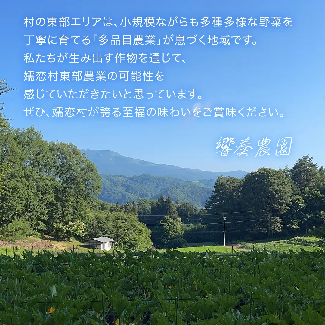 【7月中旬発送開始】旬の採れたて 新鮮 高原野菜 セット 3.5kg 2種以上 [BT001tu]
