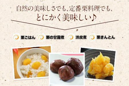 【先行予約】利平栗  約2kg(3L-2Lサイズ)　《2026年9月上旬-10月上旬出荷》