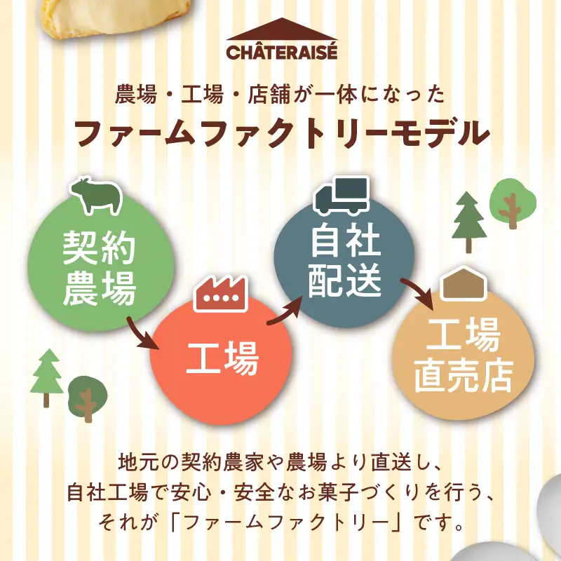 【シャトレーゼ】抹茶カステラ（五三焼製法）10個入り