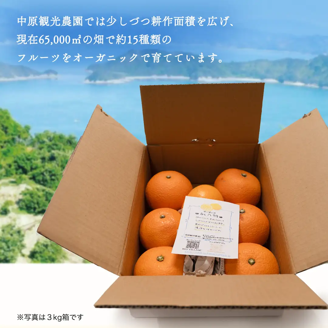 【 先行予約 】 瀬戸内 オーガニック 紅八朔 9kg+お試しオーガニックレモン1個 【2027年1月中旬以降発送】 有機JAS認証 有機栽培