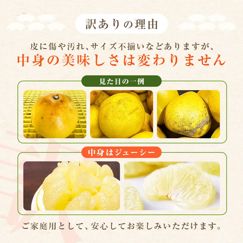 先行予約 訳あり 土佐文旦 家庭用 約5kg 約8～15玉 M～5L混合サイズ 高知県産