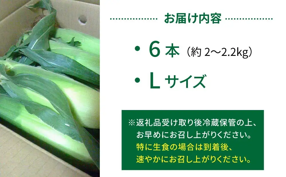 生とうもろこし Lサイズ 6本 有機肥料使用のスイートコーン！ 長野県東御市産 ※7月上旬から順次発送予定※発送日指定不可