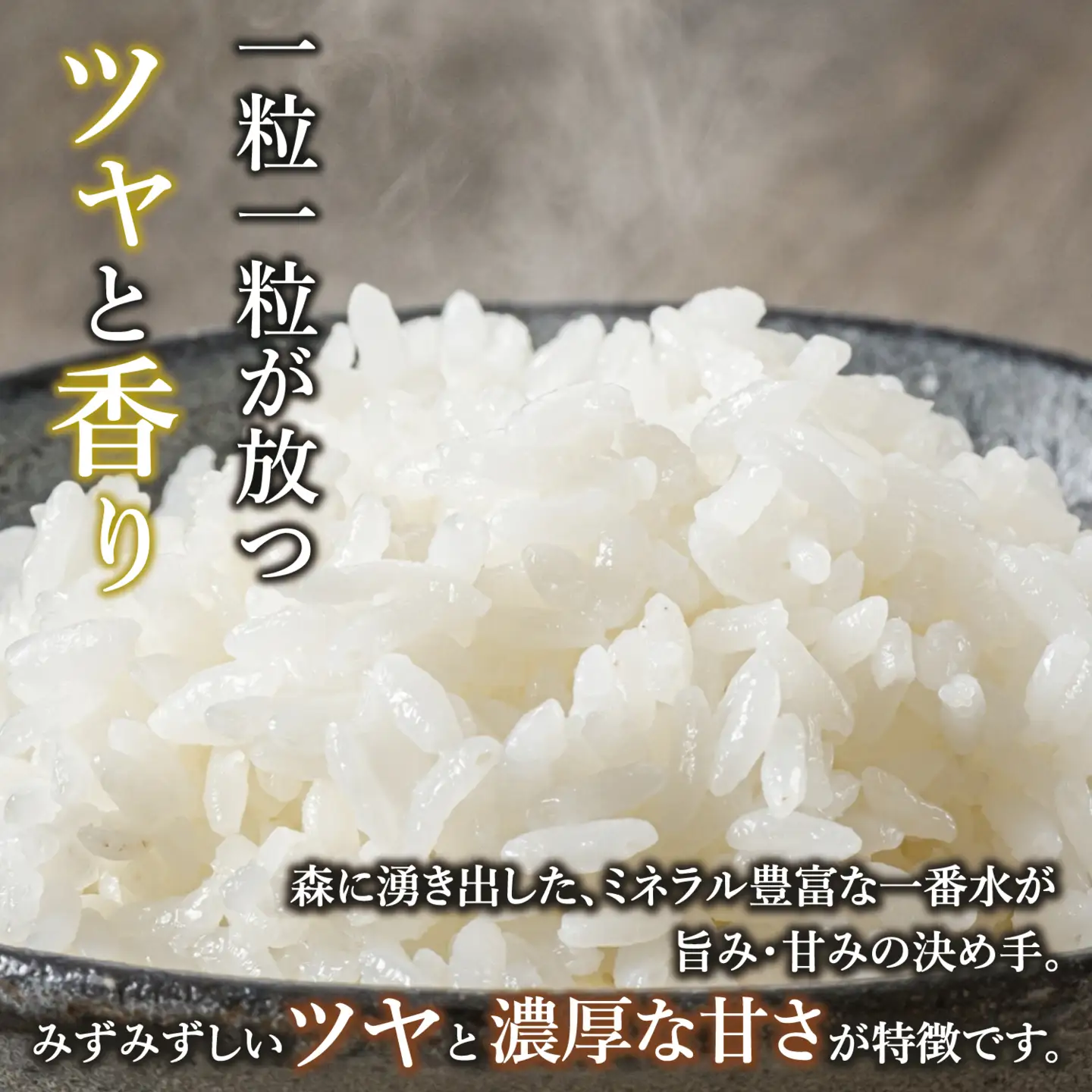 【新米予約】＼ 2027年2月より ／ 極上のコシヒカリ 七〇八米（なおやまい）　【黒】定期便 10kg×3回 (By-012-2)