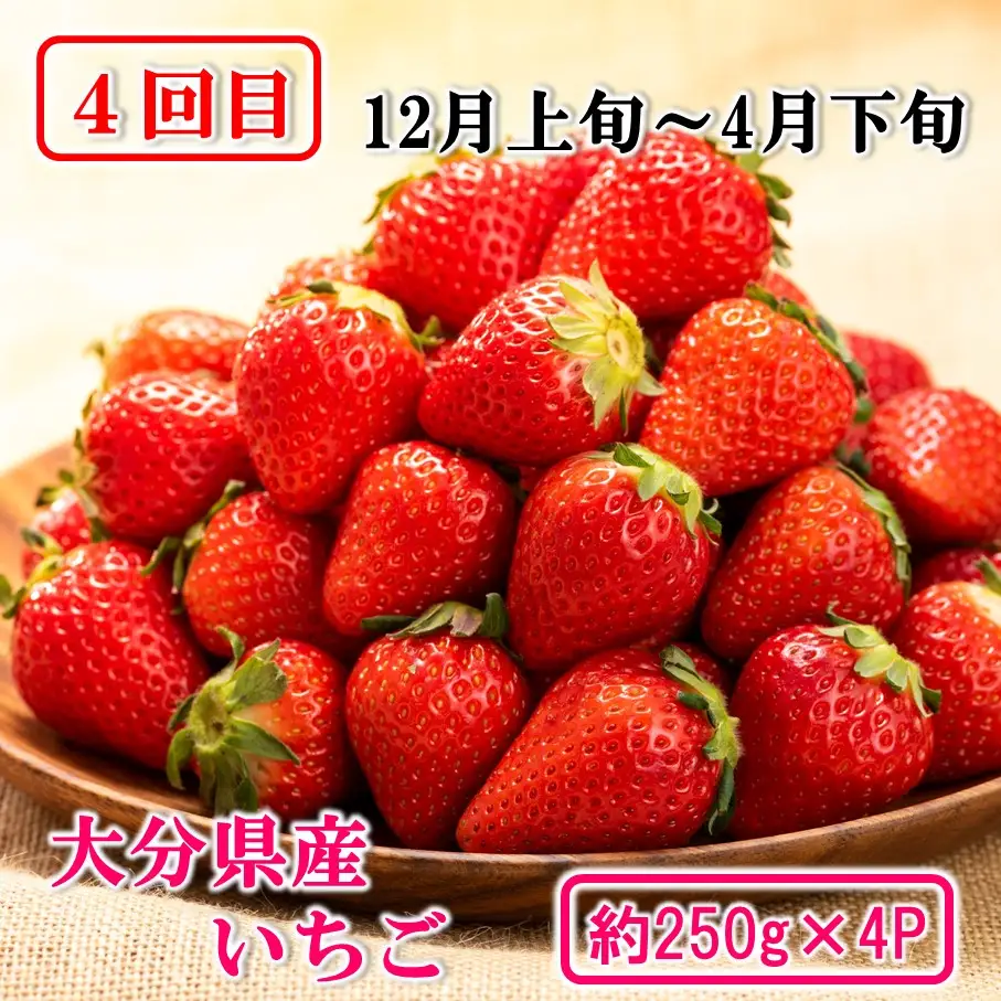 大分県産 旬のフルーツ定期便（全4回）果物 詰合せ 数量限定 ブルーベリー シャインマスカット みかん いちご_2717R