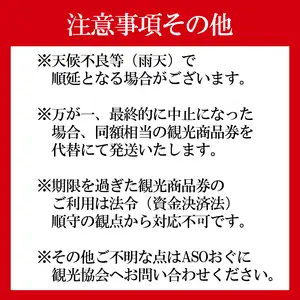 【ASOおぐに観光協会】小国の花火2026 観覧席（ペア席2名利用可）観光商品券3千円セット ゆったり スペース 花火が近い 撮影ブース チケット付き お土産 飲食 宿泊 利用可 夏の思い出 旅の思い出 残したい日本の風景 地域のお祭り 地域振興 旅行支援