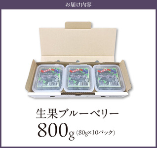 福岡県産 ブルーベリー生果 800g_ブルーベリー 生果 80g × 10パック 計 800g 直送 旬 完熟ブルーベリー アントシアニン 生の果物 使いやすい 腸内環境改善 個包装 冷凍保存 シャーベット アイス ヨーグルト アレンジ フルーツ デザート 果物 福岡県 久留米市 お取り寄せ 送料無料 〔Fx004〕
