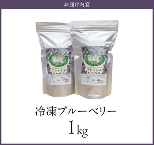 冷凍ブルーベリー 1kg_冷凍 ブルーベリー １kg 完熟 自家農園 ミキサー アイス ヨーグルト シャーベット スムージー アントシアニン 疲れ目 腸内環境 国産 ジャム レシピ 冷凍フルーツ 果物 フルーツ お取り寄せ くだものお取り寄せ 福岡県 久留米市 送料無料 〔Fx005〕