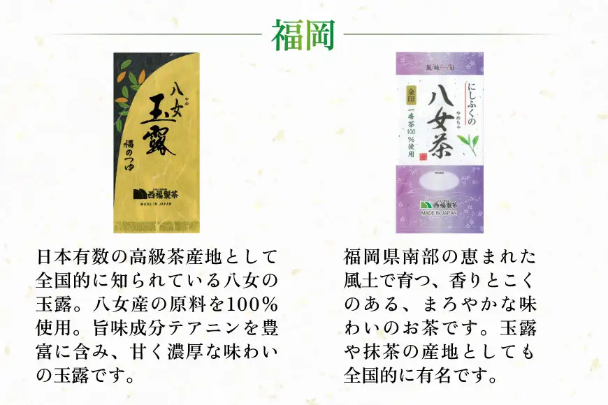 緑茶 飲み比べ 九州 一番摘み 銘茶 5種 各2本 [um40azo790004] お茶