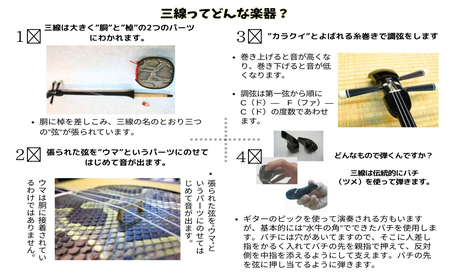 人工皮三線ソフトケースセット【新垣三線店】