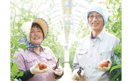 336  おーる伊勢どらいとまと　ご家庭用30g 3袋セット　伊勢 お伊勢さん トマト ドライトマト ご家庭用 オール伊勢 乾物 乾燥野菜 岩戸の塩 どらいとまと こだわりのトマトとメロン こだわり トマトとメロン