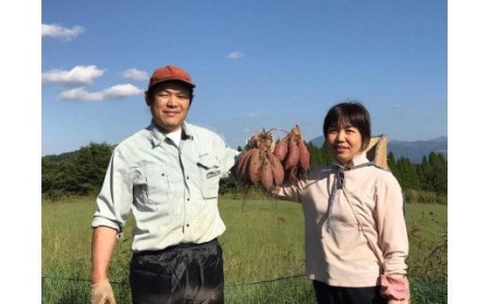 【下巣畑農産】シルクスィート 干し芋 80g×5 400g 令和7年産 素材の味 優しい甘さ 産地直送 九州 熊本 小国町 地場産 スイーツ しっかり食感 添加物不使用 おやつ レンジで温め 贈答 国際基準 GAP認証 6次産業認定 認定農家