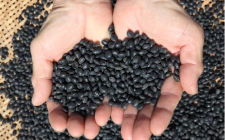 【小国のゆめ】加工品 4種 詰め合わせ 黒大豆 味噌 おから茶 おから粉末 阿蘇 熊本 小国郷 国産 小国産 農福連携 就労支援 大豆 加工品 SDGs 優しい味わい 食べて応援 常温保管 ご自宅用 贈り物 プレゼント