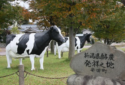 生牛乳クリーム ギフトボックス アイス アイスクリーム ジェラート ミルク いちご スイーツ 冷凍 2K01009