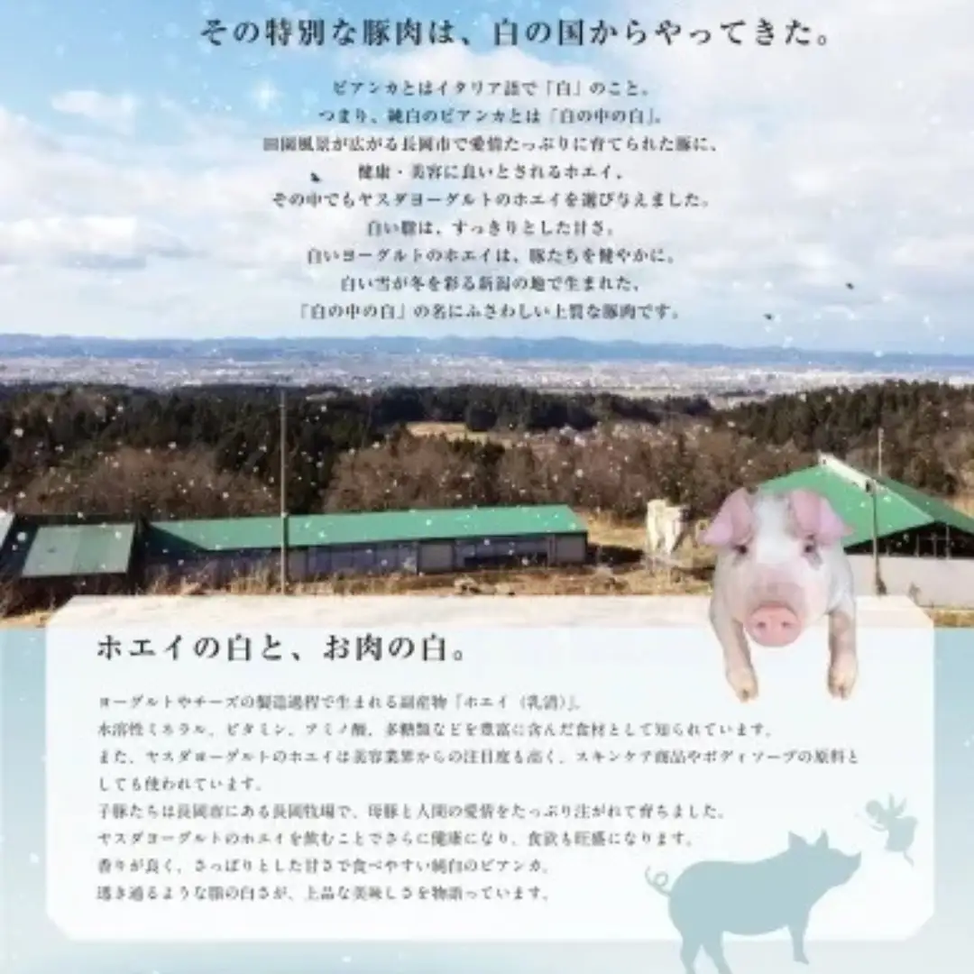 純白のビアンカ 豚バラしゃぶしゃぶ用 500g 豚肉 ぶた ぶた肉 肉 お肉 国産 冷凍 箱入り のし 贈答 ギフト プレゼント お中元 お歳暮 父の日 母の日 敬老の日 鍋 すき焼き 蒸し 新鮮 新潟県 阿賀野市 1D02008