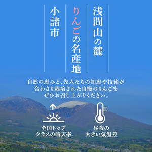 シナノゴールド 秀品 約5kg 16～20玉入 長野県産 果物類 林檎 りんご リンゴ フルーツ 小諸市