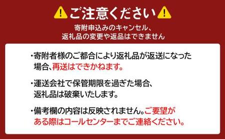 牛の里ビーフハンバーグ（110g×20個）特製ソース（20袋）の詰合せ AG059