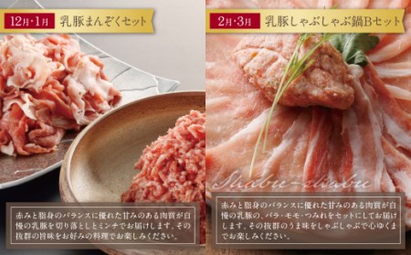 Z04-81 寄附額改定↓↓ 乳豚バラエティ定期便(隔月・年6回) 豚肉 