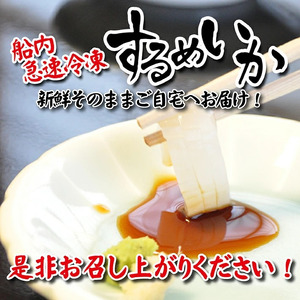 SB0401　船内急速冷凍するめいか　8尾