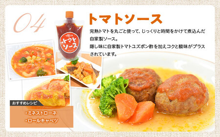 ＜リコピンズの王道セット（遊子川トマトの加工品）＞ とまと 野菜 ケチャップ 子供 ポン酢 完熟 トマトソース ドレッシング 調味料 詰め合わせ ギフト 食べて応援 国産 特産品 遊子川ザ・リコピンズ 愛媛県 西予市【常温】『最短10営業日以内に発送予定』 SYR0001