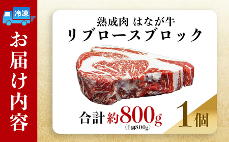 ＜熟成肉 はなが牛リブロースブロック約800g（800g×1個）＞ 牛肉 ステーキ 鉄板焼き 焼き肉 国産 塊肉 かたまり 霜降り しもふり バーベキュー BBQ キャンプ アウトドア 特産品 ゆうぼく 愛媛県 西予市【冷凍】『2か月以内に順次出荷予定』UYB0010