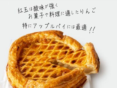 アップルパイ 青森 パイ専門店が作った 紅玉 りんごのアップルパイ 22cm パイ 専門 りんご アップル りんごパイ スイーツ お菓子 菓子 洋菓子 焼き菓子 デザート おやつ 取り寄せ お取り寄せ フルーツ 果物 お土産 青森県 冷蔵 ※配送地域限定