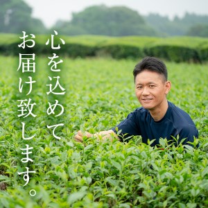 ＜ お茶 生産量 日本一 の 鹿児島県産 ！ ＞ 小さい お茶屋 の ほうじ茶 600g 飲料 お茶 茶葉 【お茶の山口園】A218-v01