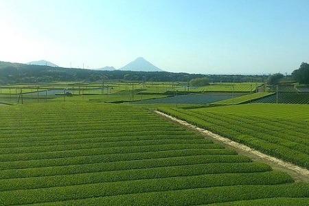 【けやき製茶】紅ふうき 紅茶・烏龍茶ティーバッグ6本セット【1185911】