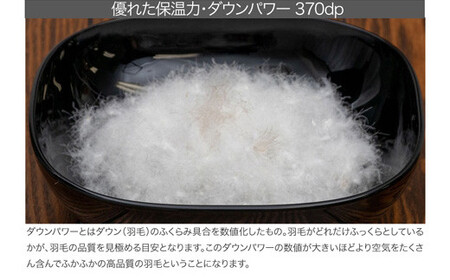 【河田フェザー使用】 羽毛 掛けふとん ECO ホワイト シングルロング 150×210 ECOダウン フェザー 高級 ふとん 布団 フトン 寝心地 品質 高級 ホテル 掛け 布団 日本製 河田フェザー 羽毛布団 睡眠 シングル エコ 清潔 B1