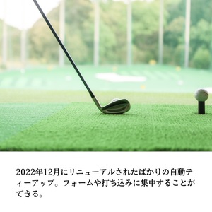 ゴルフ パルグリーンゴルフクラブ　プリペイドカード 　12,000円相当分 チケット 