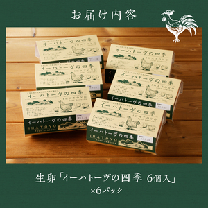 イーハトーヴの四季 6パック こだわりの卵 6個入×6パック たまご [J0011]