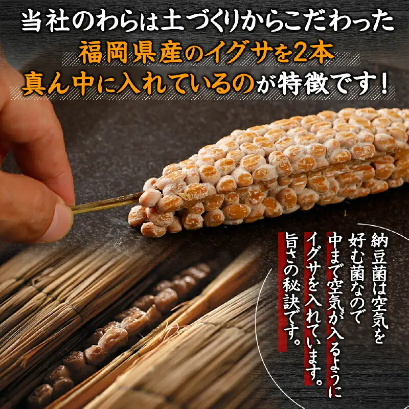 北海道のわら納豆（大粒）80g×6本 たれ付き【くま納豆】