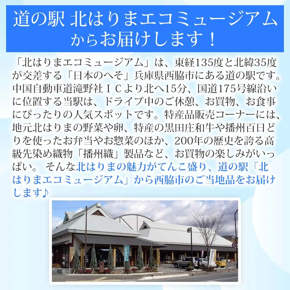アイス葛バー 10本セット 福楽特製〔12-26〕