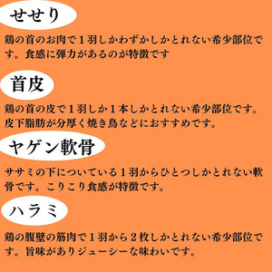 鶏肉 丹波赤どり1羽まるごと 鶏肉 鶏肉 鶏肉 鶏肉 鶏肉 鶏肉