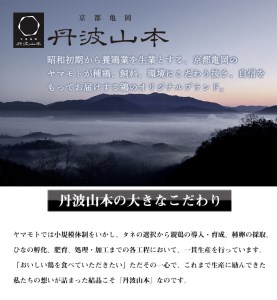 鶏肉 地鶏丹波黒どり&丹波赤どりもも各2kg 計4kg 丹波山本 鶏肉 国産鶏肉 鶏肉 亀岡産鶏肉 訳あり鶏肉
