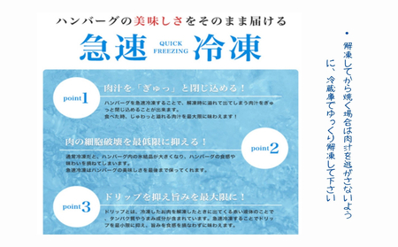 黒毛和牛とあぐー豚の贅沢ハンバーグ　4個入り