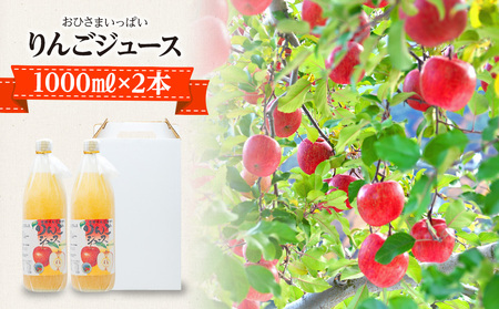おひさまいっぱいりんごジュース 1000ml×2本 リンゴジュース りんご リンゴ 林檎 サンふじ 長野 フルーツ 果物 信州産 長野県産 特産 産地直送 おすすめ 