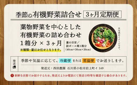 有機野菜 定期便 3ヶ月 有機野菜