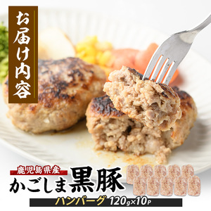 特製 黒豚 ハンバーグ 120g×10個 生 ハンバーグ 岡村商店 IB024-023 ハンバーグ