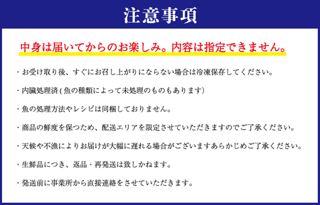 伊勢湾直送 なにが届くかな 明和の海産ガチャ Mサイズ 魚 貝 干物 海藻 新鮮 海鮮 海産 直送 海 漁師 おまかせ 旬 季節 お楽しみ 選べる内容量 U2
