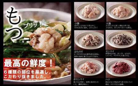 AB286.1,077万人が食べた！福岡店舗数No.1もつ鍋「楽天地」元祖もつ鍋2～3人用大容量国産牛モツ300g【もつ鍋・醤油味】