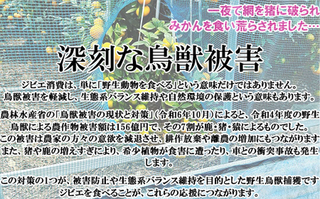 山香アグリのジビエふるさとAセット（猪スライス・ミンチ、鹿ウインナー） 九州 ジビエスライス ジビエミンチ ジビエウインナー 猪ジビエ 鹿ジビエ ＜145-001＞
