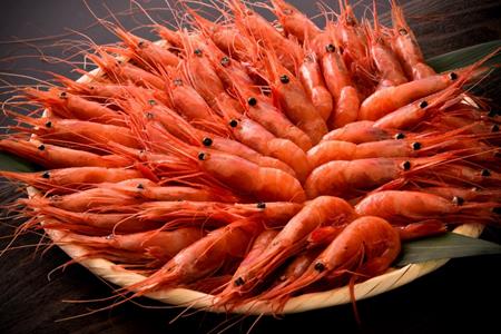 【 2026年1月~6月発送 】 子持ち甘エビ40匹丸ごと昆布〆 甘エビ