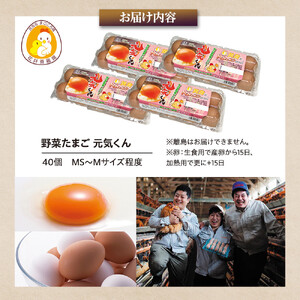 愛され続けて30年 「野菜たまご 元気くん」（40個） 日々のお料理がワンランクアップ!!