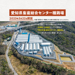 壮平さんどら焼き 名古屋コーチン 日本三大地鶏 小牧市発祥[009B02]