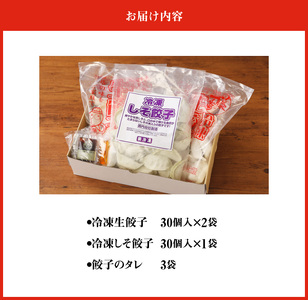 お家で簡単 藤一番 餃子セット(合計90個入)[037D01]ぎょうざ 餃子 ギョーザ 餃子のたれ 冷凍餃子 冷凍ギョーザ ラーメン屋餃子