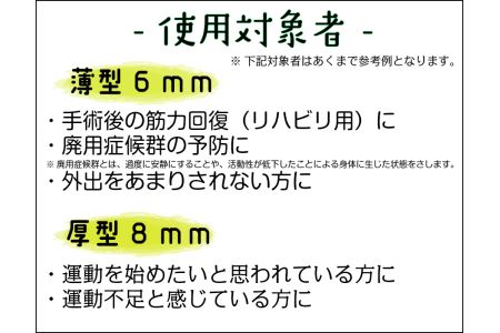 簡易型大腿四頭筋訓練器    「プッシュボード」(2種類から選択)[030M06]