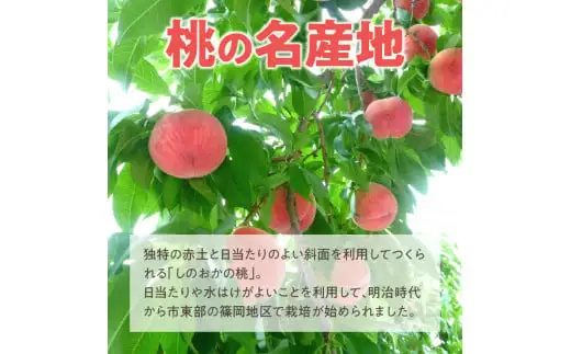 【数量限定】 しのおかの大きな桃(白鳳・秀クラス）[017O01]　白桃 大きな白桃 しのおかの白桃 秀白桃 お取り寄せ白桃